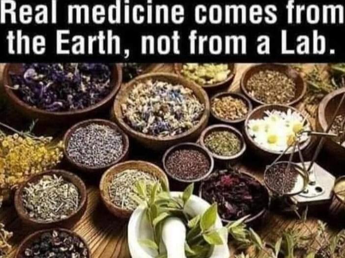 holistic health gallery