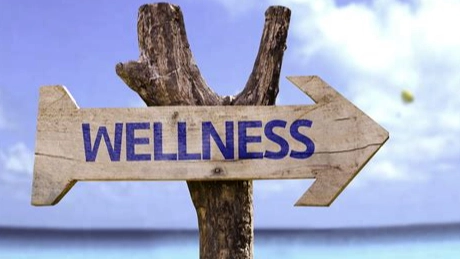 health and wellness journey